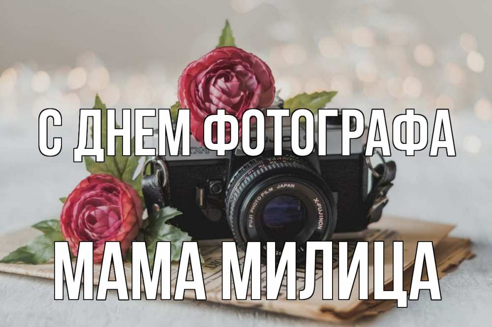 Открытка на каждый день с именем, Мама-Милица С днем фотографа с днем фотографа Прикольная открытка с пожеланием онлайн скачать бесплатно 