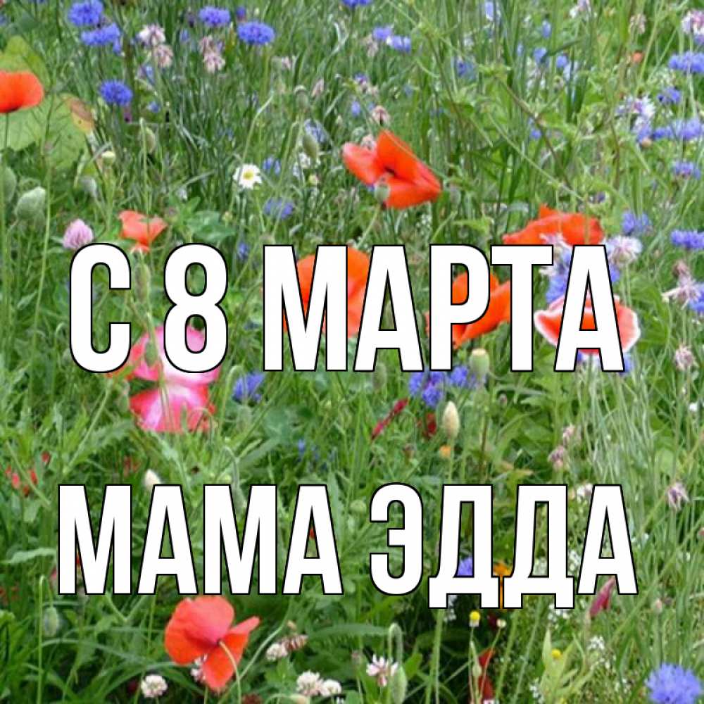 Открытка на каждый день с именем, Мама-Эдда С 8 МАРТА международный женский день 4 Прикольная открытка с пожеланием онлайн скачать бесплатно 