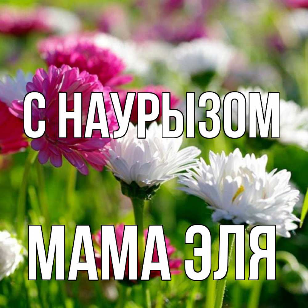 Открытка на каждый день с именем, Мама-Эля С наурызом праздник весны наурыз красота Прикольная открытка с пожеланием онлайн скачать бесплатно 