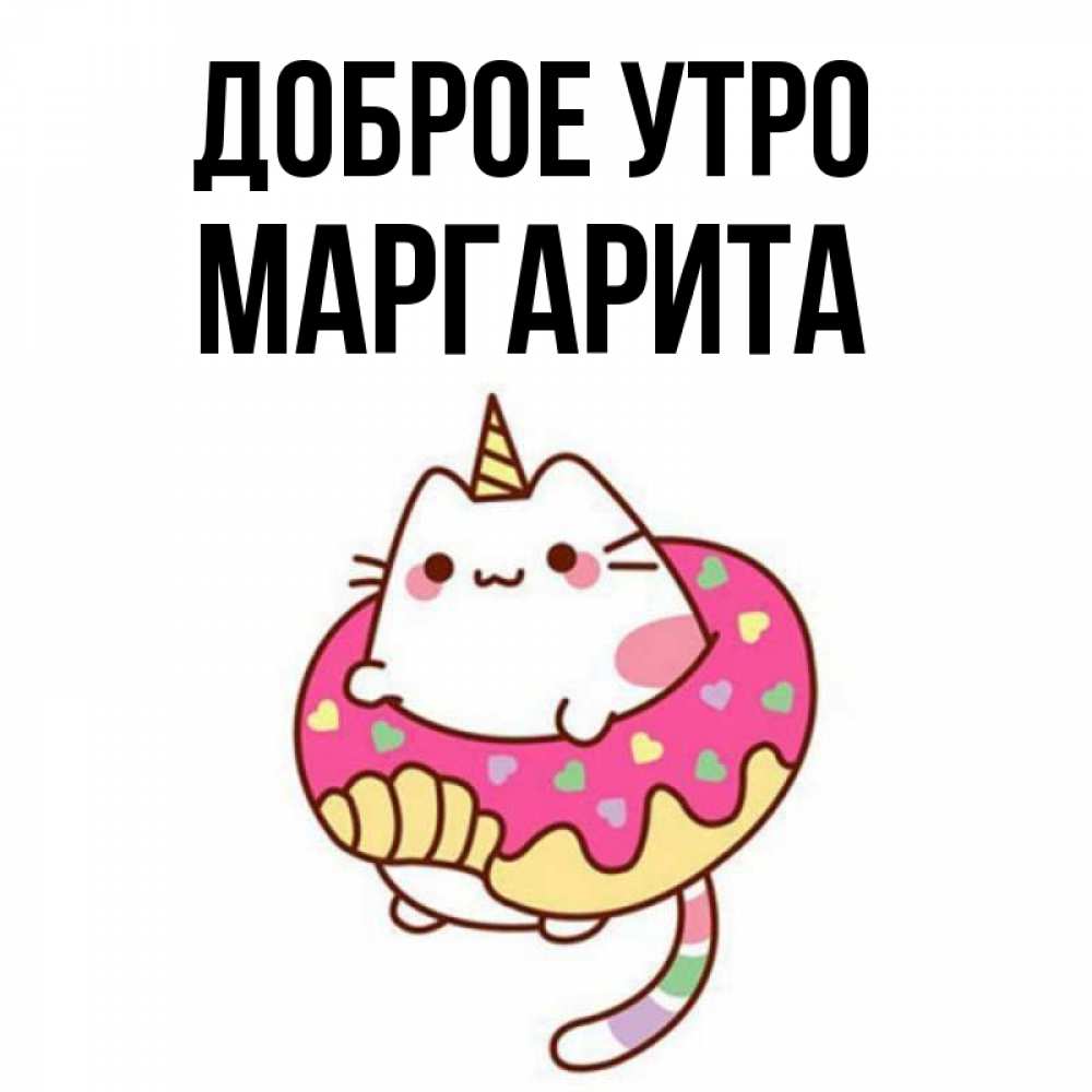 Открытка на каждый день с именем, Маргарита Доброе утро кот в бублике Прикольная открытка с пожеланием онлайн скачать бесплатно 