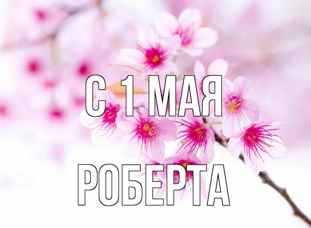 Открытка на каждый день с именем, Роберта С 1 мая С 1 мая 2 Прикольная открытка с пожеланием онлайн скачать бесплатно 