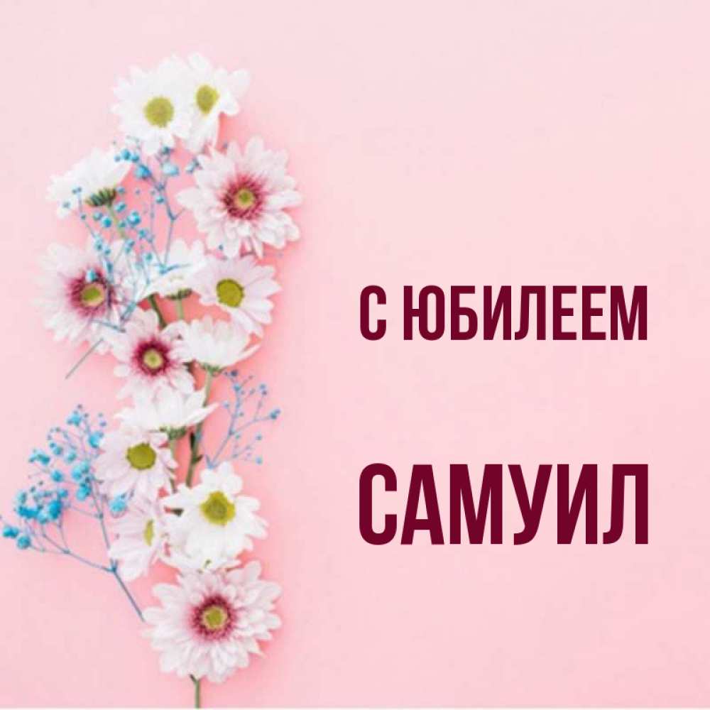 Открытка на каждый день с именем, Самуил С юбилеем Родная моя с днем рождения тебя картинка с цветами белыми и голубыми Прикольная открытка с пожеланием онлайн скачать бесплатно 