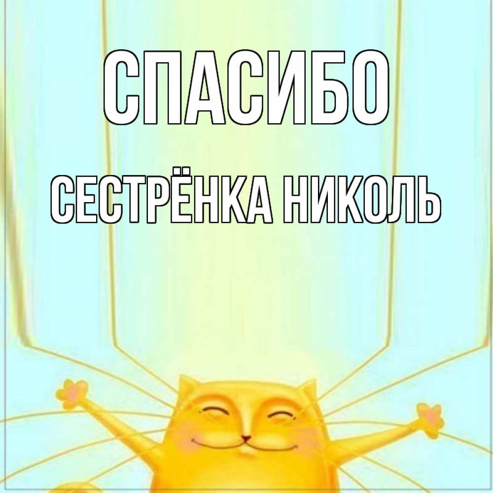 Открытка на каждый день с именем, Сестрёнка-Николь Спасибо кот с усами благодарит Прикольная открытка с пожеланием онлайн скачать бесплатно 