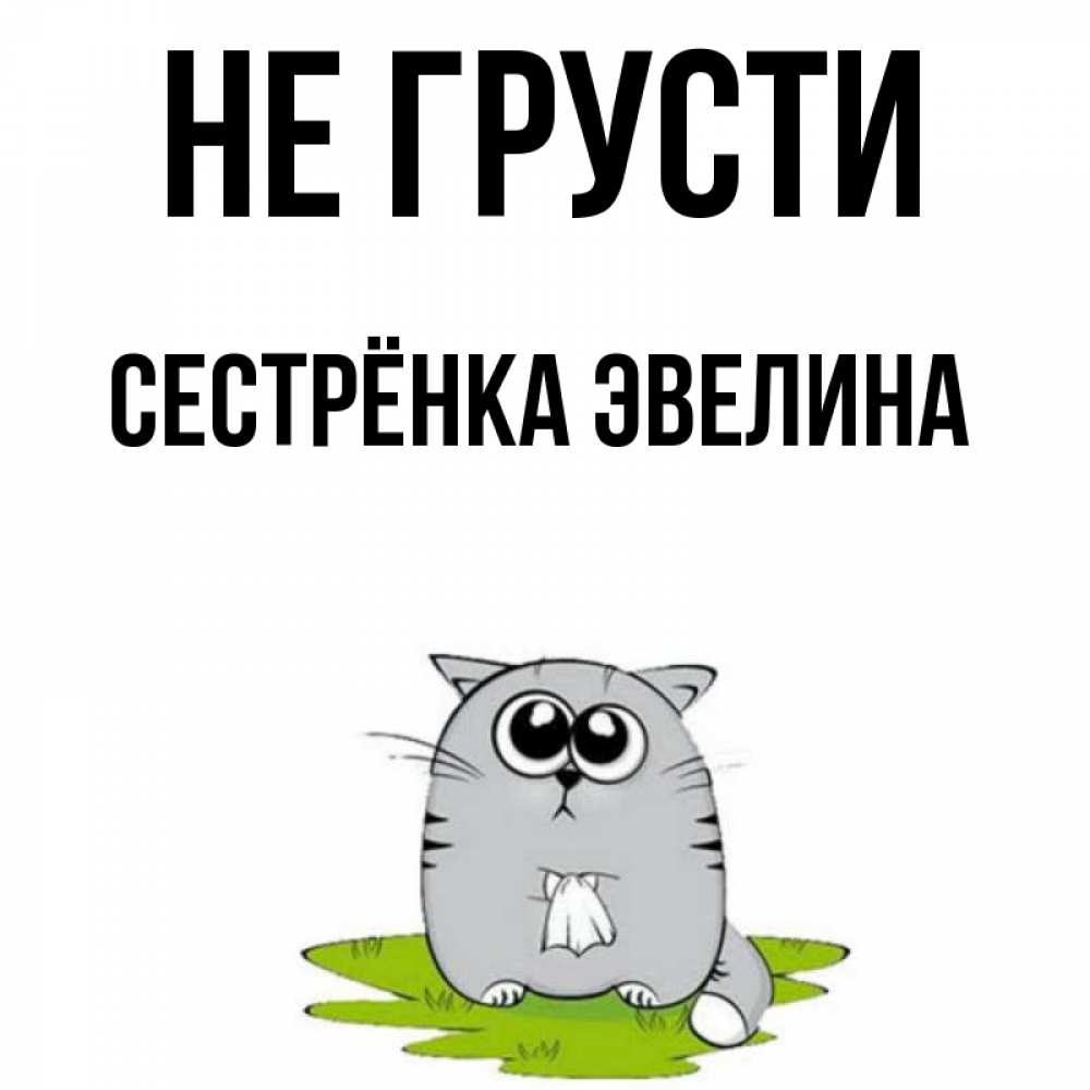 Открытка на каждый день с именем, Сестрёнка-Эвелина Не грусти грустный котяра Прикольная открытка с пожеланием онлайн скачать бесплатно 