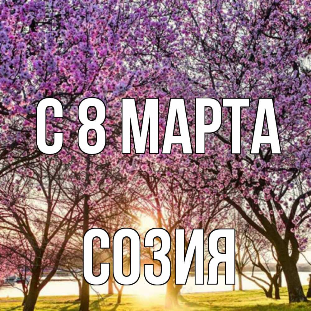 Открытка на каждый день с именем, Созия С 8 МАРТА международный женский день Прикольная открытка с пожеланием онлайн скачать бесплатно 