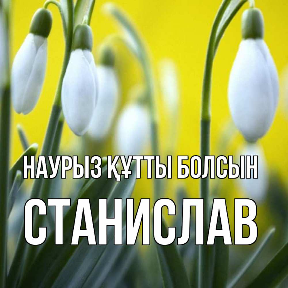 Открытка на каждый день с именем, Станислав Наурыз құтты болсын весенние цветы Прикольная открытка с пожеланием онлайн скачать бесплатно 