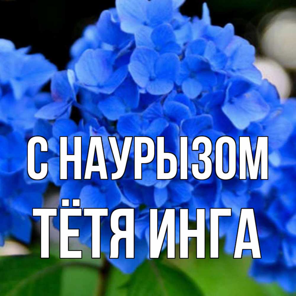 Открытка на каждый день с именем, Тётя-Инга С наурызом синие цветы Прикольная открытка с пожеланием онлайн скачать бесплатно 