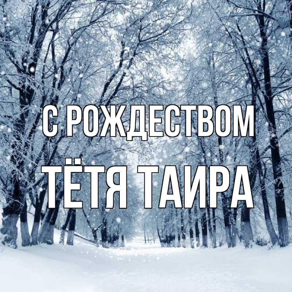 Открытка на каждый день с именем, Тётя-Таира С рождеством снег, лес, парк Прикольная открытка с пожеланием онлайн скачать бесплатно 