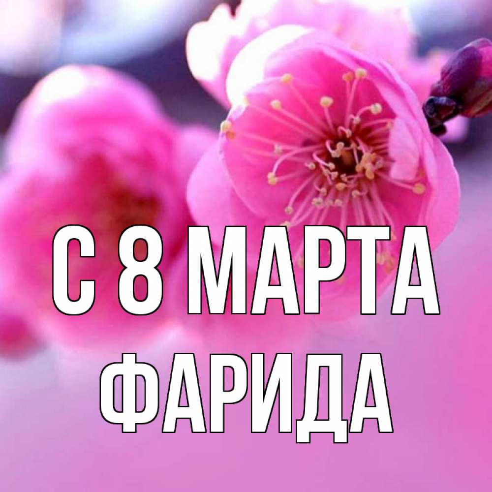 Открытка на каждый день с именем, Фарида С 8 марта международный женский день Прикольная открытка с пожеланием онлайн скачать бесплатно 