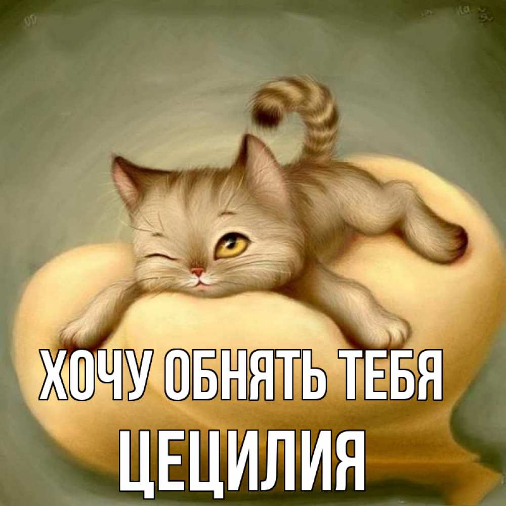 Открытка на каждый день с именем, Цецилия Хочу обнять тебя кошечка Прикольная открытка с пожеланием онлайн скачать бесплатно 