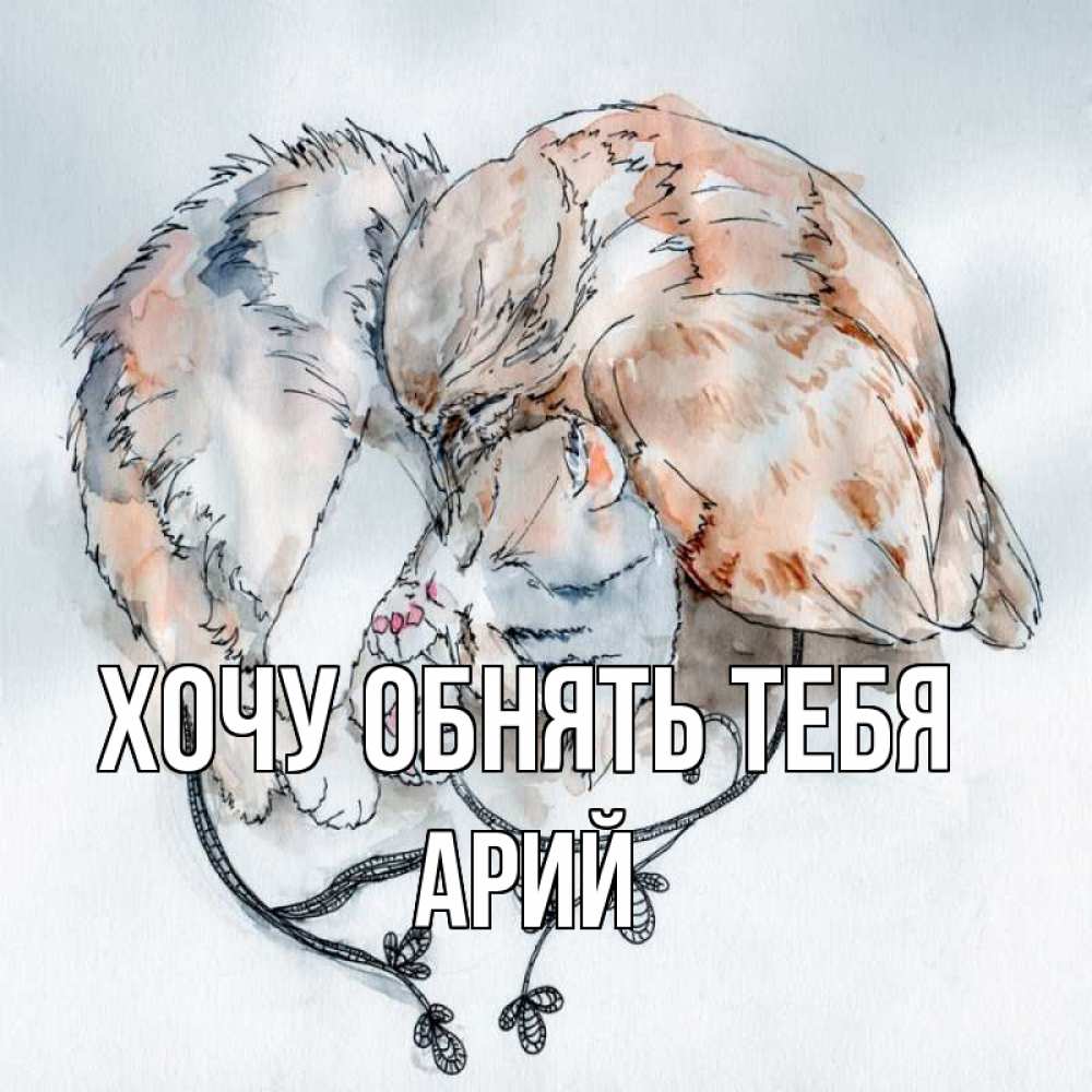 Открытка на каждый день с именем, Арий Хочу обнять тебя можно быть вместе даже когда очень разные Прикольная открытка с пожеланием онлайн скачать бесплатно 