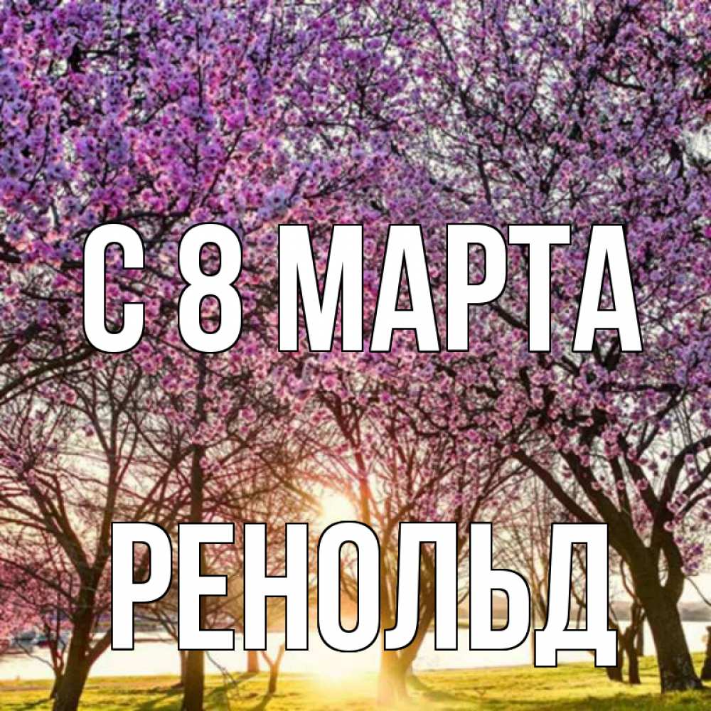 Открытка на каждый день с именем, Ренольд С 8 МАРТА международный женский день Прикольная открытка с пожеланием онлайн скачать бесплатно 