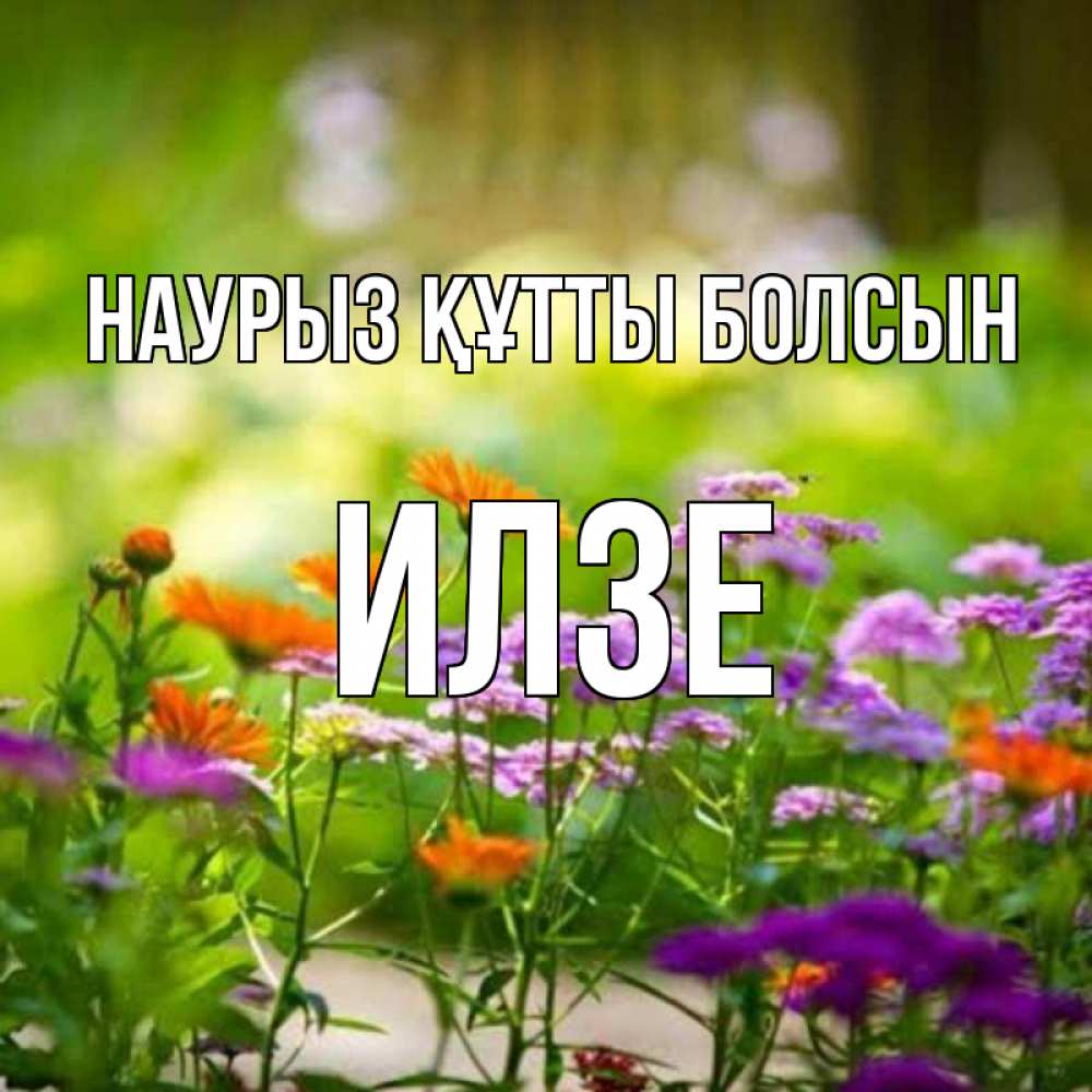 Открытка на каждый день с именем, Илзе Наурыз құтты болсын цветы Прикольная открытка с пожеланием онлайн скачать бесплатно 