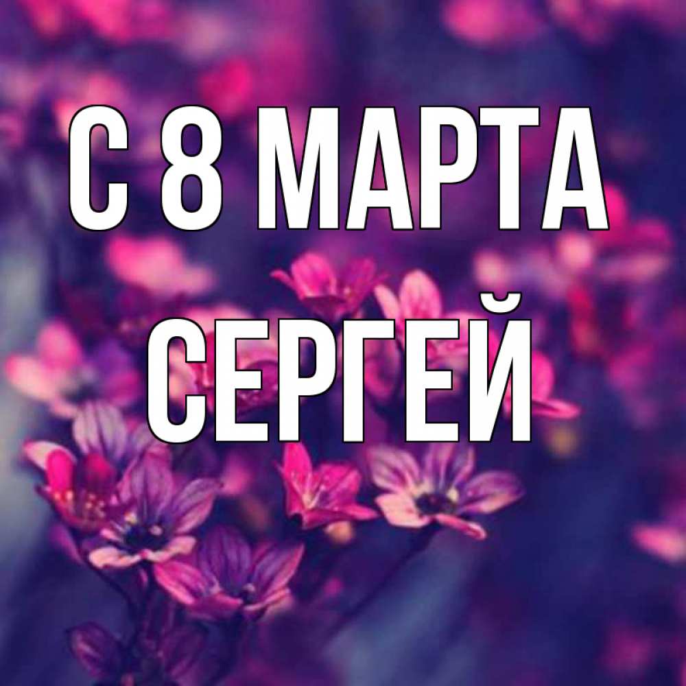 Открытка на каждый день с именем, Сергей С 8 марта небольшие цветы 1 Прикольная открытка с пожеланием онлайн скачать бесплатно 