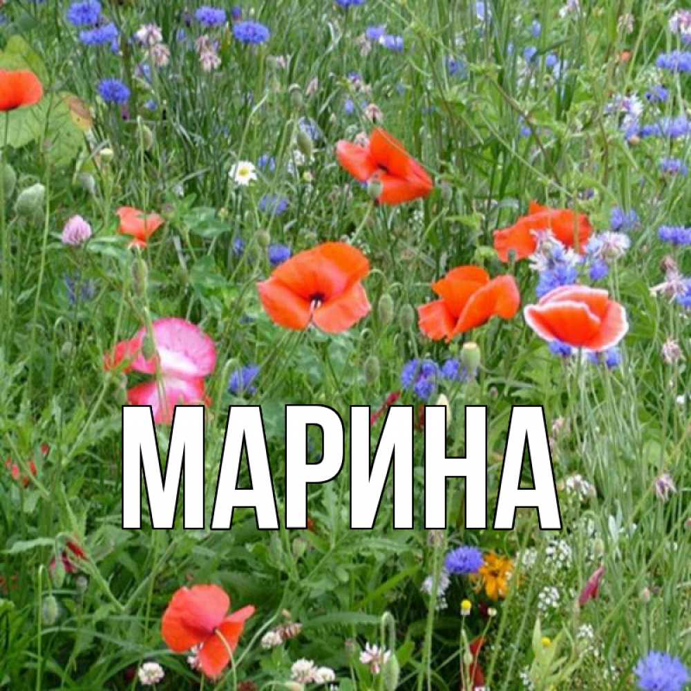 Открытка на каждый день с именем, Марина Главная наурыз  4 Прикольная открытка с пожеланием онлайн скачать бесплатно 