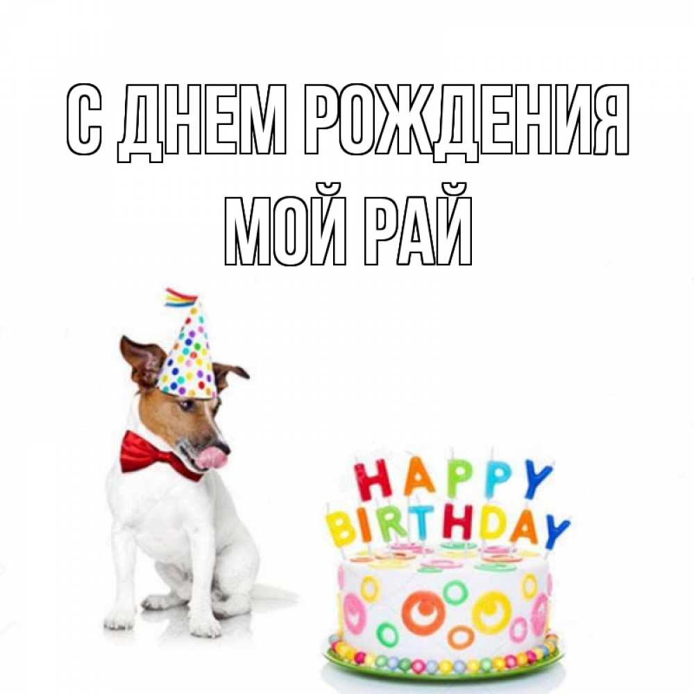 Открытка на каждый день с именем, Мой-рай С днем рождения праздник Прикольная открытка с пожеланием онлайн скачать бесплатно 