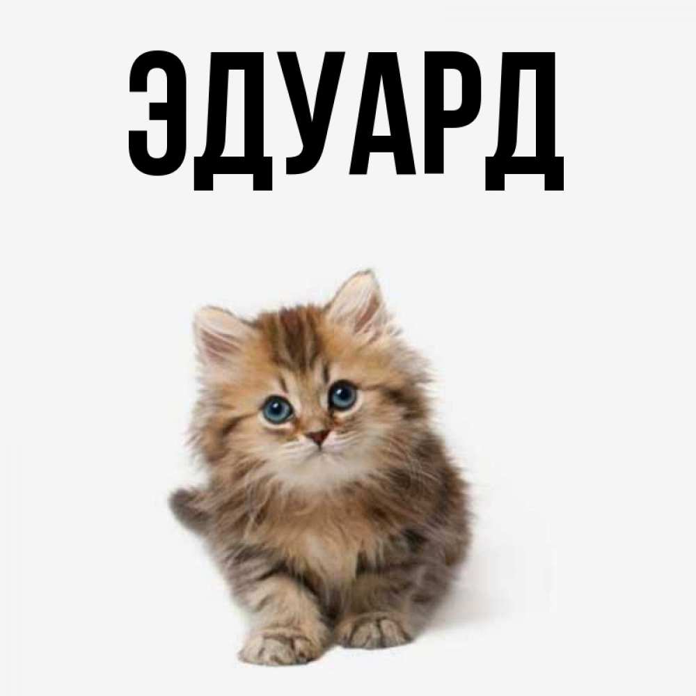 Картинка  с именем , Эдуард