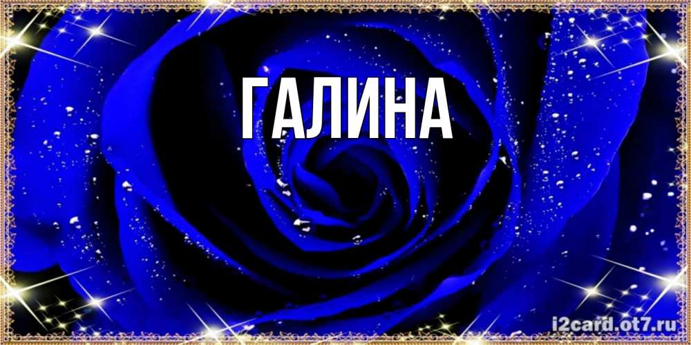 Открытка на каждый день с именем, Галина Главная голубые цветы в росе Прикольная открытка с пожеланием онлайн скачать бесплатно 