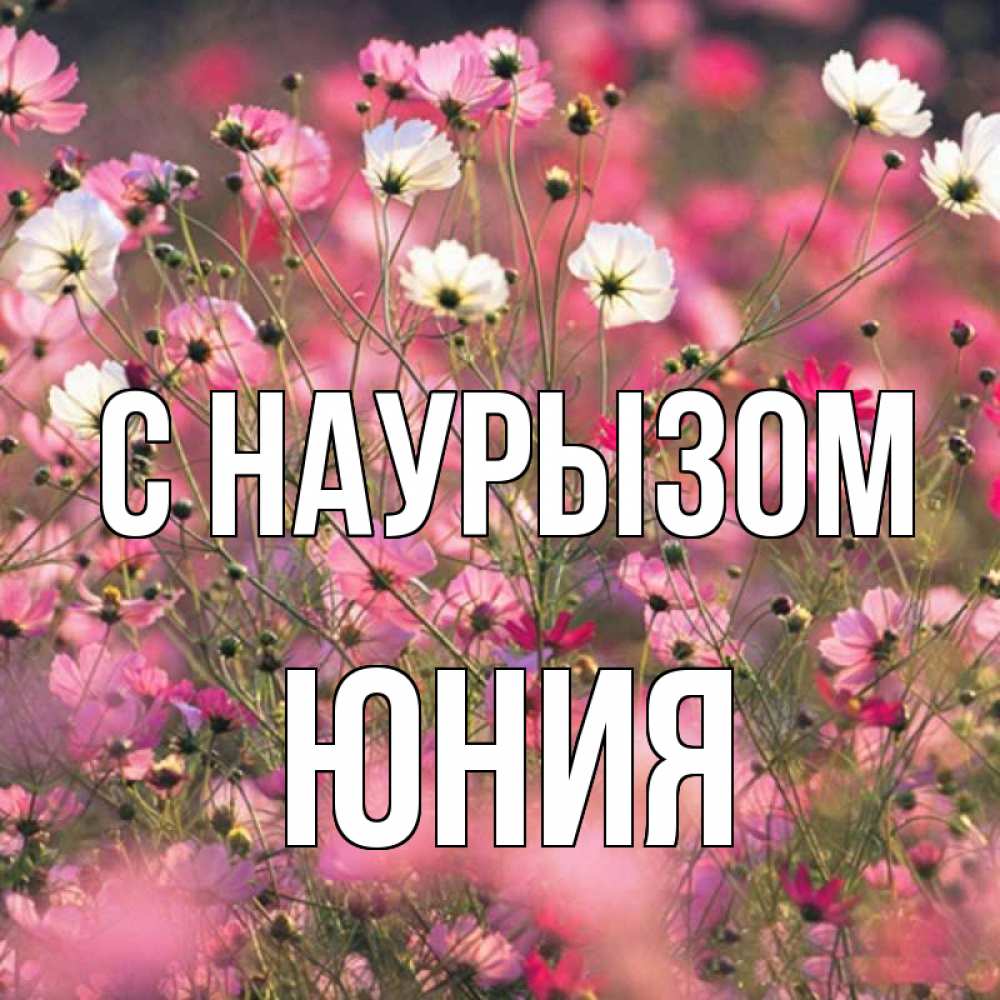 Открытка на каждый день с именем, Юния С наурызом красиво 1 Прикольная открытка с пожеланием онлайн скачать бесплатно 
