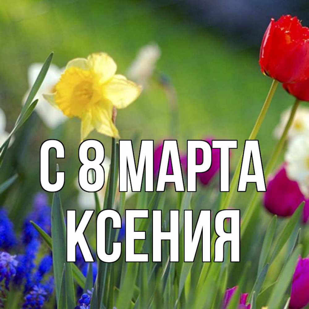 Открытка на каждый день с именем, Ксения С 8 МАРТА международный женский день 3 Прикольная открытка с пожеланием онлайн скачать бесплатно 
