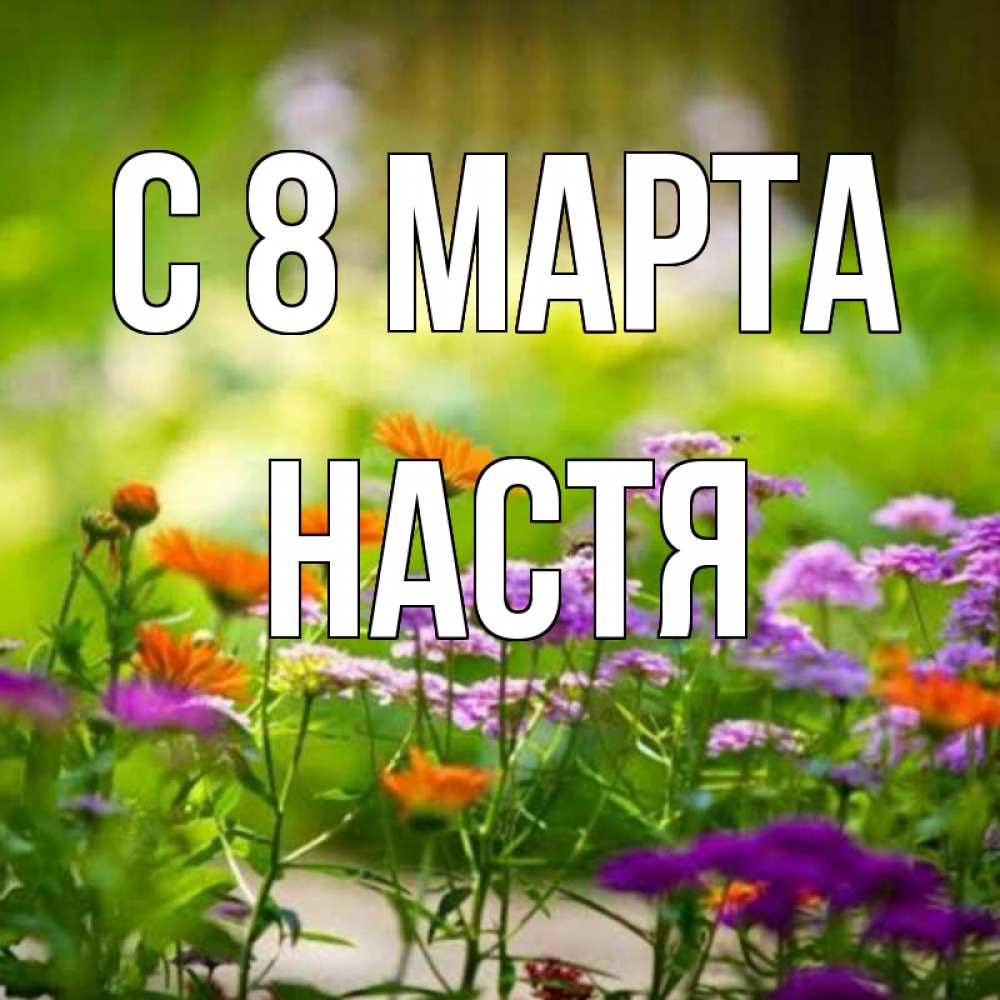 Картинка С 8 МАРТА, Настя