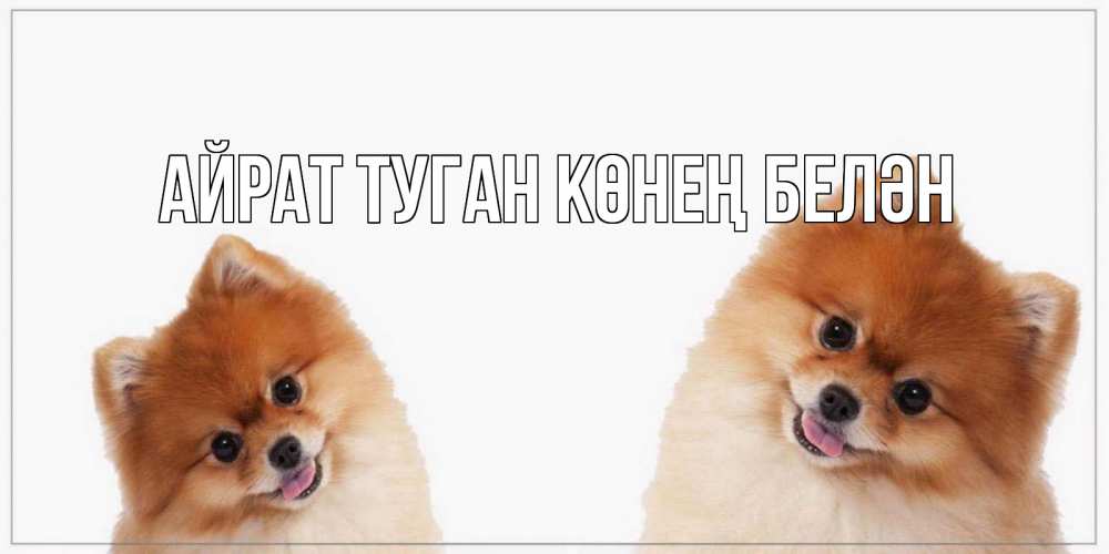 Открытка на каждый день с именем, Айрат-туган-көнең-белән Главная привет Прикольная открытка с пожеланием онлайн скачать бесплатно 