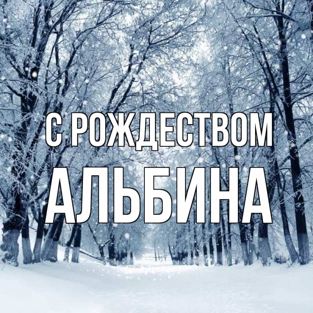 Открытка на каждый день с именем, Альбина С рождеством снег, лес, парк Прикольная открытка с пожеланием онлайн скачать бесплатно 