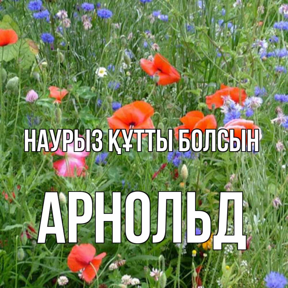 Открытка на каждый день с именем, Арнольд Наурыз құтты болсын наурыз  4 Прикольная открытка с пожеланием онлайн скачать бесплатно 