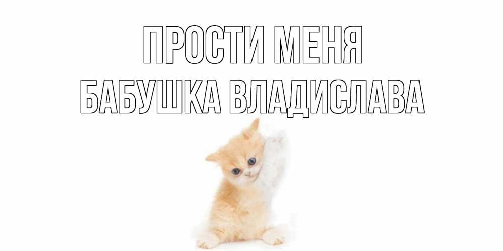 Открытка на каждый день с именем, Бабушка-Владислава Прости меня кот Прикольная открытка с пожеланием онлайн скачать бесплатно 
