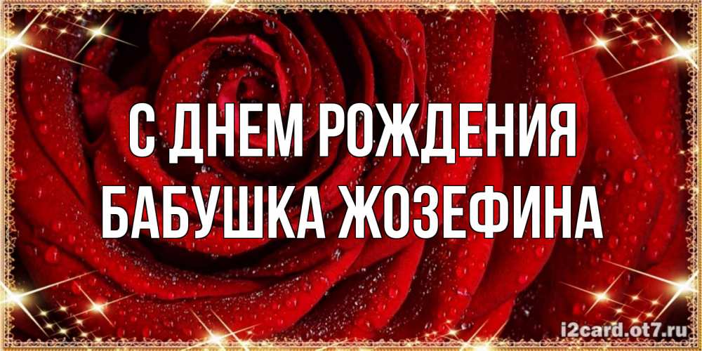 Открытка на каждый день с именем, Бабушка-Жозефина С днем рождения роса на розе блестящая в лучах солнца Прикольная открытка с пожеланием онлайн скачать бесплатно 