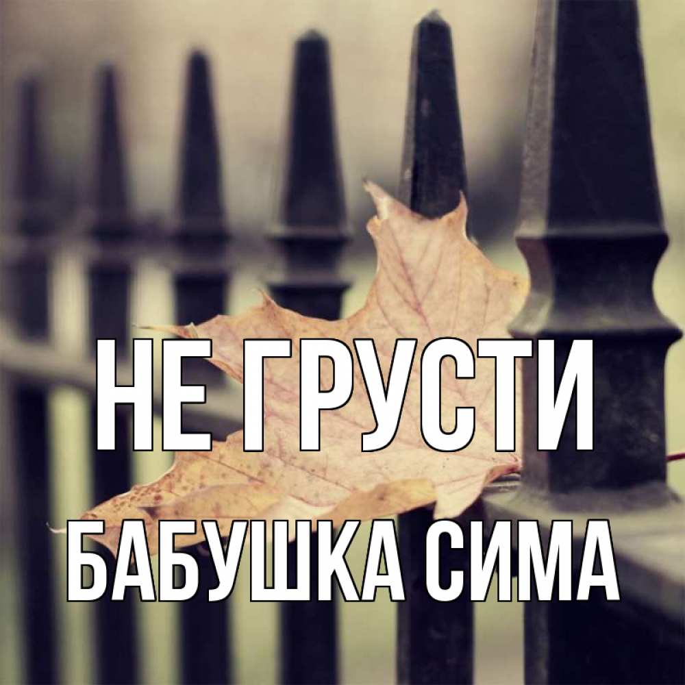 Открытка на каждый день с именем, Бабушка-Сима Не грусти лист клена Прикольная открытка с пожеланием онлайн скачать бесплатно 