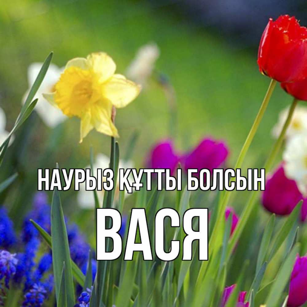 Открытка на каждый день с именем, Вася Наурыз құтты болсын наурыз  3 открытки Прикольная открытка с пожеланием онлайн скачать бесплатно 