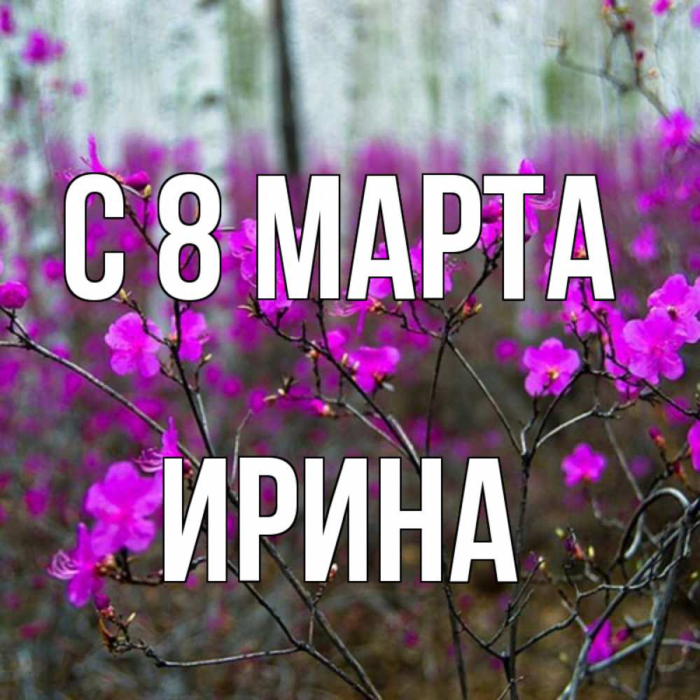 Открытка на каждый день с именем, Ирина С 8 марта дикие цветы Прикольная открытка с пожеланием онлайн скачать бесплатно 