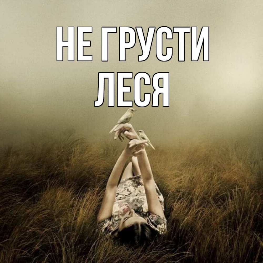 Открытка на каждый день с именем, Леся Не грусти поле и туман Прикольная открытка с пожеланием онлайн скачать бесплатно 
