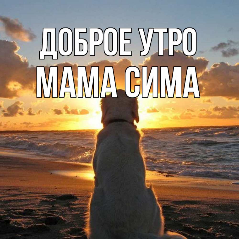 Открытка на каждый день с именем, Мама-Сима Доброе утро восход солнца Прикольная открытка с пожеланием онлайн скачать бесплатно 