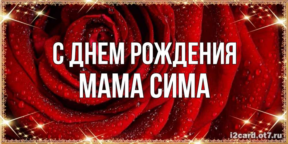 Открытка на каждый день с именем, Мама-Сима С днем рождения роса на розе блестящая в лучах солнца Прикольная открытка с пожеланием онлайн скачать бесплатно 