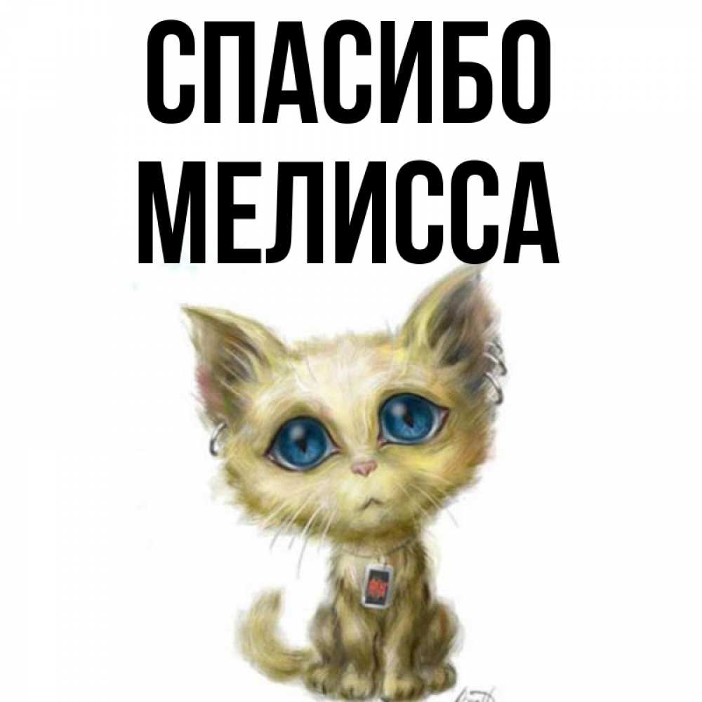 Открытка на каждый день с именем, Мелисса Спасибо рисованный кот благодарит вас Прикольная открытка с пожеланием онлайн скачать бесплатно 