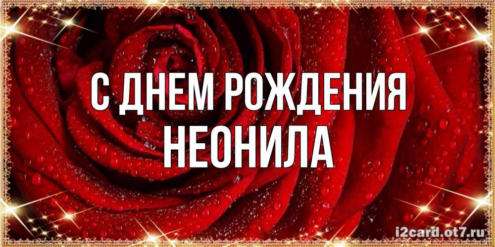 Открытка на каждый день с именем, Неонила С днем рождения роса на розе блестящая в лучах солнца Прикольная открытка с пожеланием онлайн скачать бесплатно 