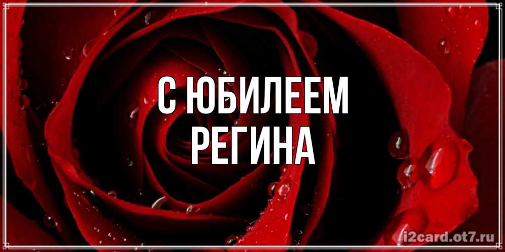 Открытка на каждый день с именем, Регина С юбилеем крупная бордовая роза Прикольная открытка с пожеланием онлайн скачать бесплатно 