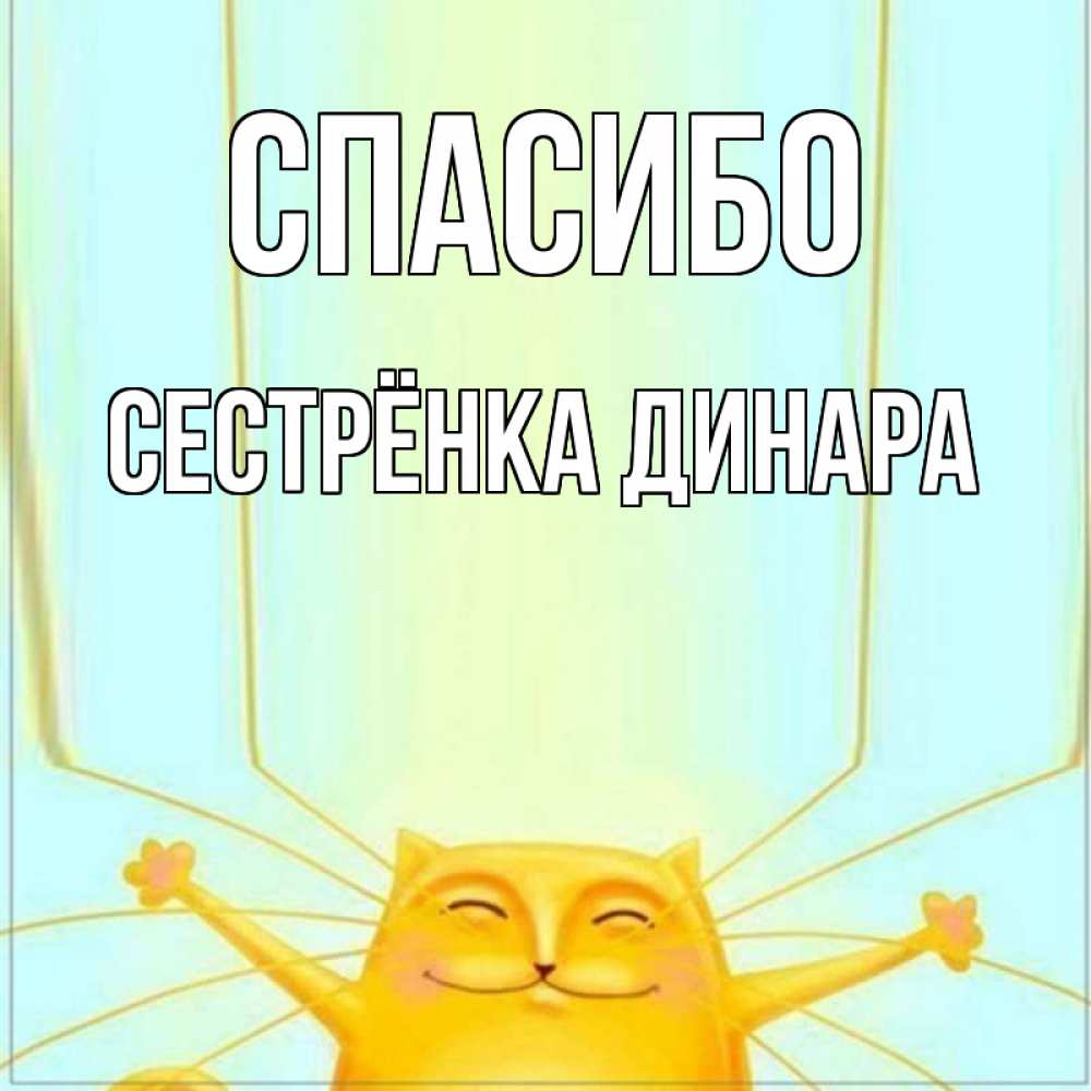 Открытка на каждый день с именем, Сестрёнка-Динара Спасибо кот с усами благодарит Прикольная открытка с пожеланием онлайн скачать бесплатно 