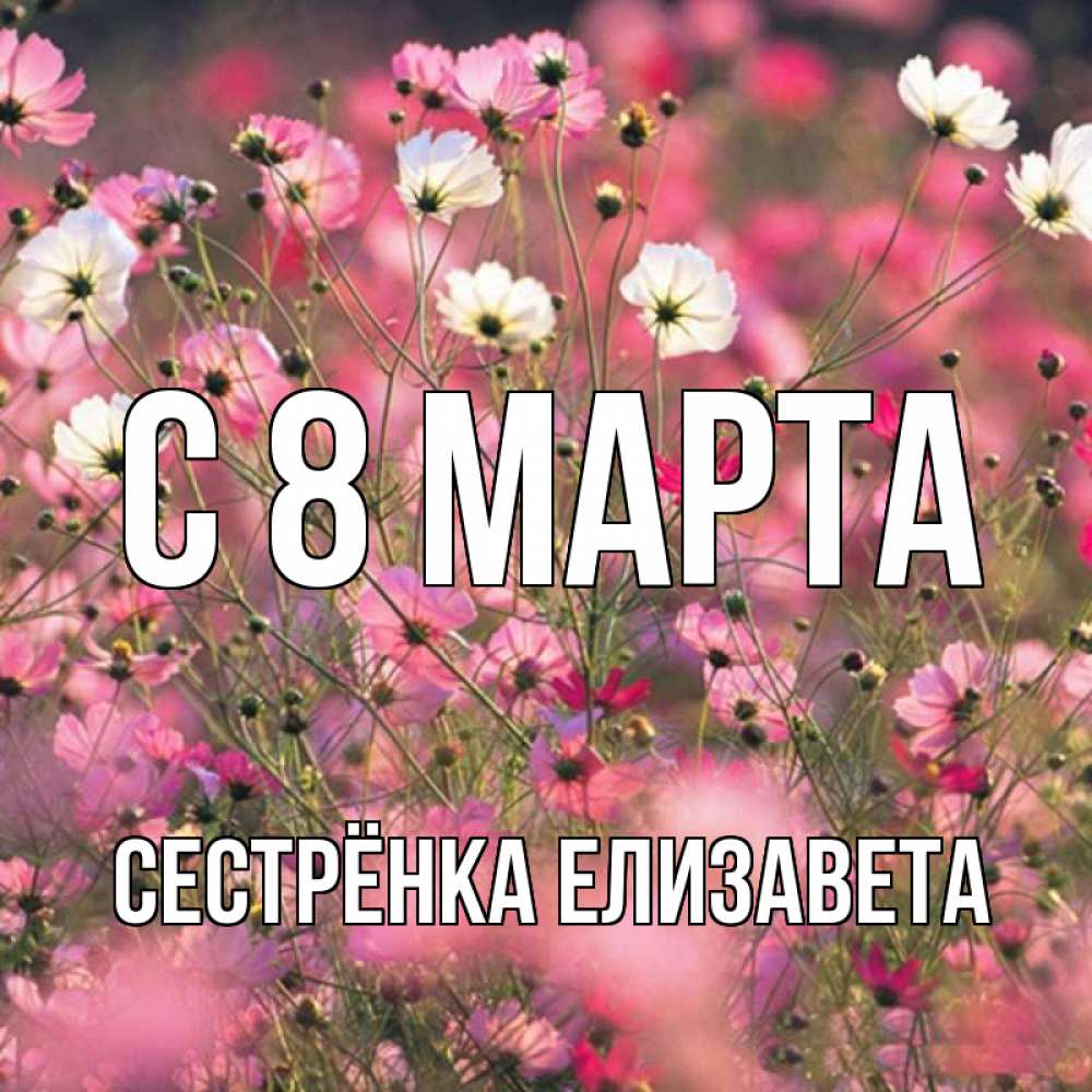 Открытка на каждый день с именем, Сестрёнка-Елизавета С 8 МАРТА красиво 1 Прикольная открытка с пожеланием онлайн скачать бесплатно 