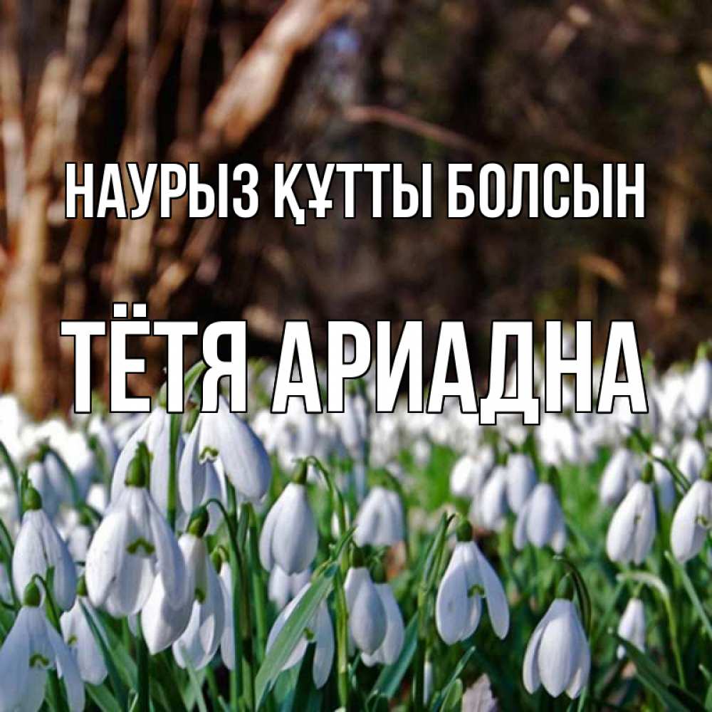 Открытка на каждый день с именем, Тётя-Ариадна Наурыз құтты болсын с подснежниками 1 Прикольная открытка с пожеланием онлайн скачать бесплатно 