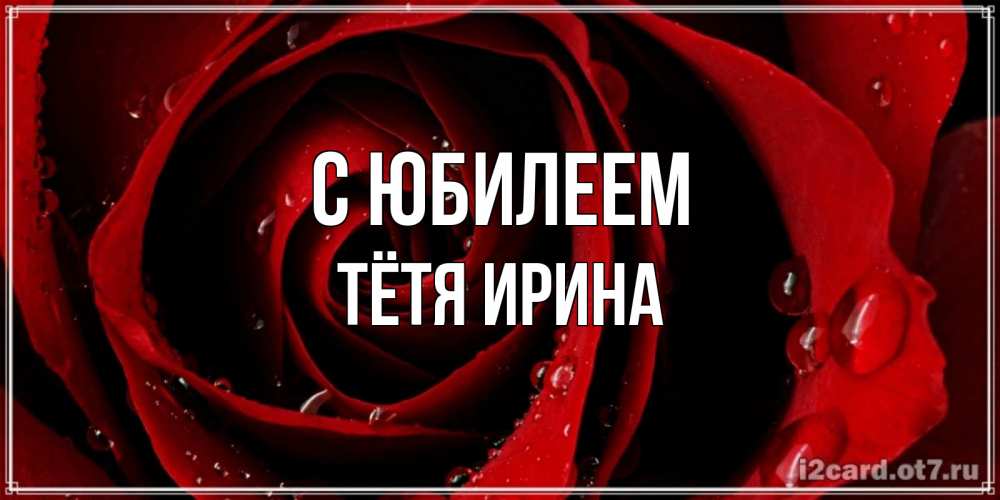 Открытка на каждый день с именем, Тётя-Ирина С юбилеем крупная бордовая роза Прикольная открытка с пожеланием онлайн скачать бесплатно 