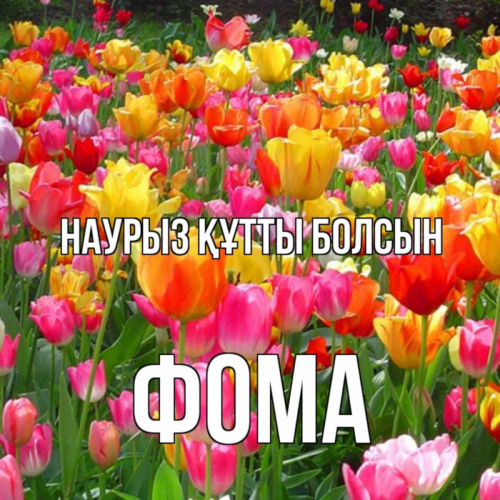 Открытка на каждый день с именем, Фома Наурыз құтты болсын на наурыз  ура ура Прикольная открытка с пожеланием онлайн скачать бесплатно 