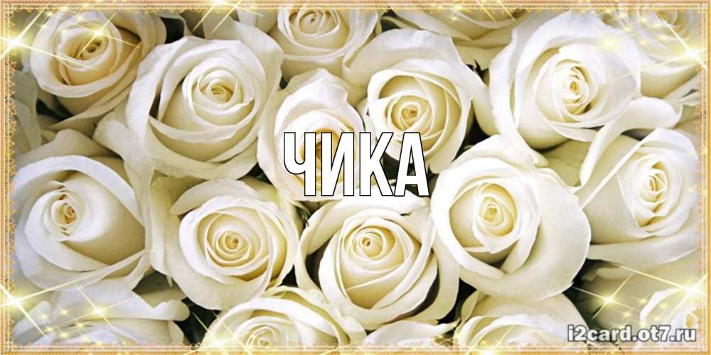 Открытка на каждый день с именем, Чика Главная открытка с белыми розами. большой букет белых роз Прикольная открытка с пожеланием онлайн скачать бесплатно 