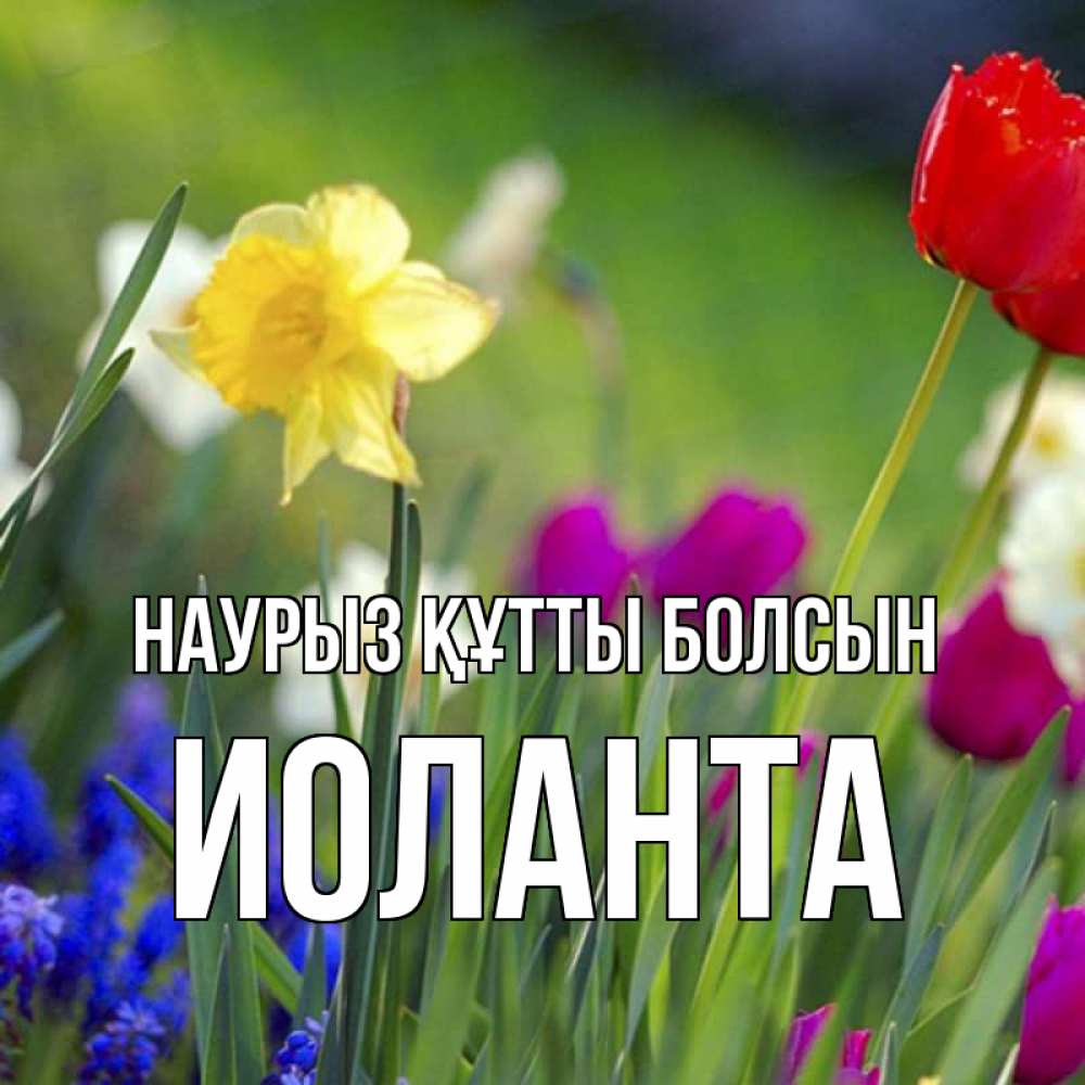 Открытка на каждый день с именем, Иоланта Наурыз құтты болсын наурыз  3 открытки Прикольная открытка с пожеланием онлайн скачать бесплатно 