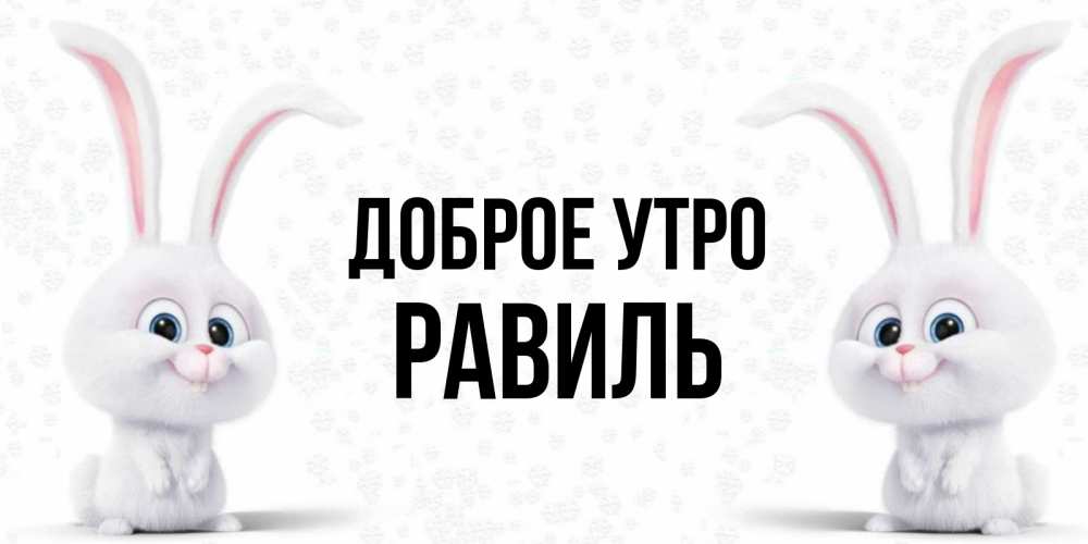 Открытка на каждый день с именем, Равиль Доброе утро кролики с длинными ушками Прикольная открытка с пожеланием онлайн скачать бесплатно 