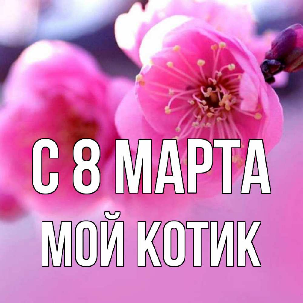 Ирочка милашка картинки