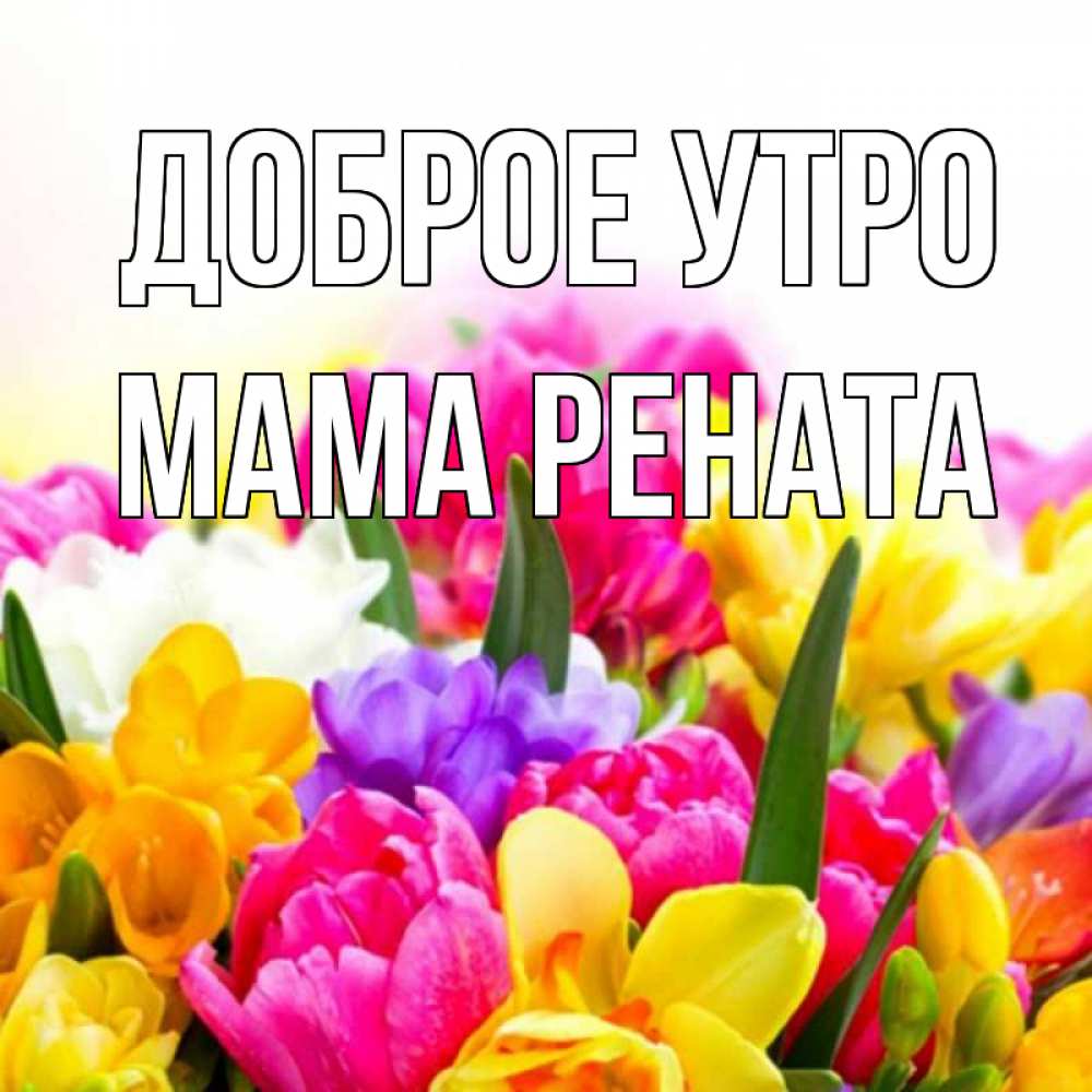 Открытка на каждый день с именем, Мама-Рената Доброе утро создать открытку со свое подписью Прикольная открытка с пожеланием онлайн скачать бесплатно 