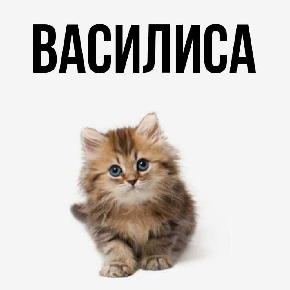 Имя василис